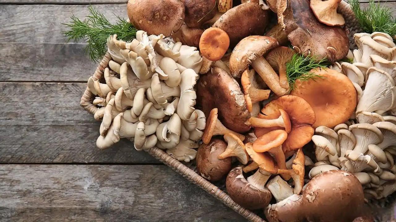 蘑菇再次成为关注焦点！医生直言：经常吃蘑菇的人患癌症风险更低菜市场里不起眼的蘑