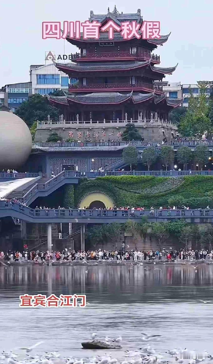 四川的秋假，到处都是祖国的喇叭花，这是捅了孩子窝了吧？忙坏了家长，高兴了娃儿，最