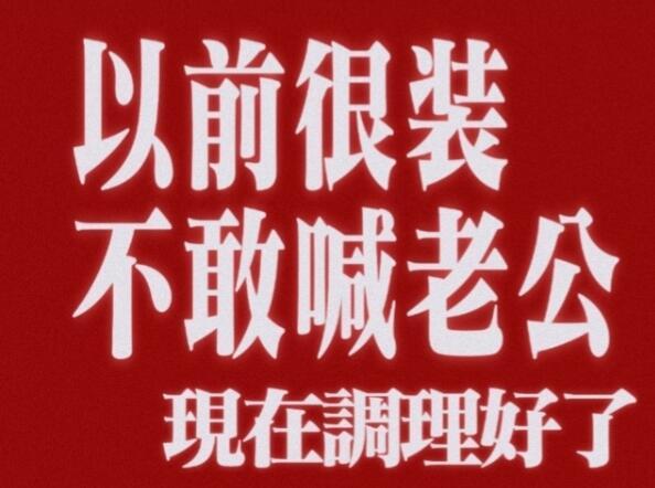 啊，刚才在推送里看到一段话，手太快划掉找不着了，大概意思就是，追星和养宠物一样，