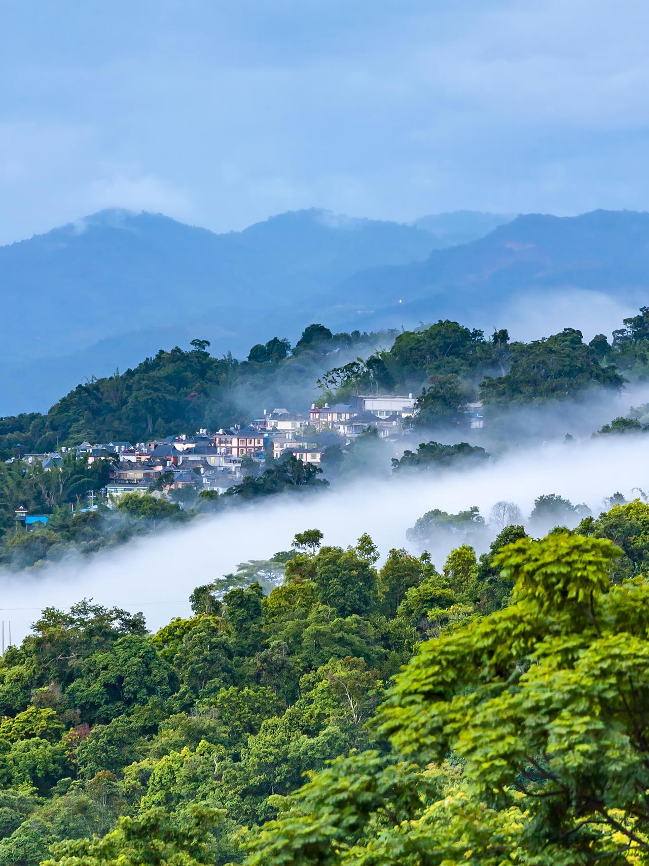太神奇!西双版纳和普洱，高铁40多分钟，完全两个世界!真的万万没想到!西双