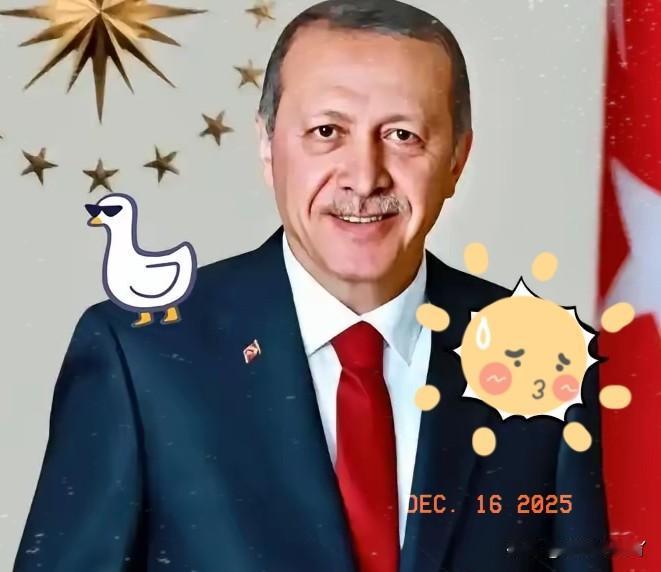 土耳其宣布了！12月16日，土耳其贸易部发布公告称，将对东方大国的光伏铝边框