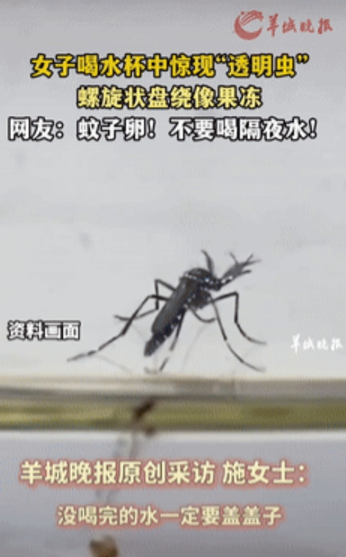 恶心坏了!”云南，一女子起床正要喝一杯隔夜水，竟然发现水里有一排透明“果冻”，万