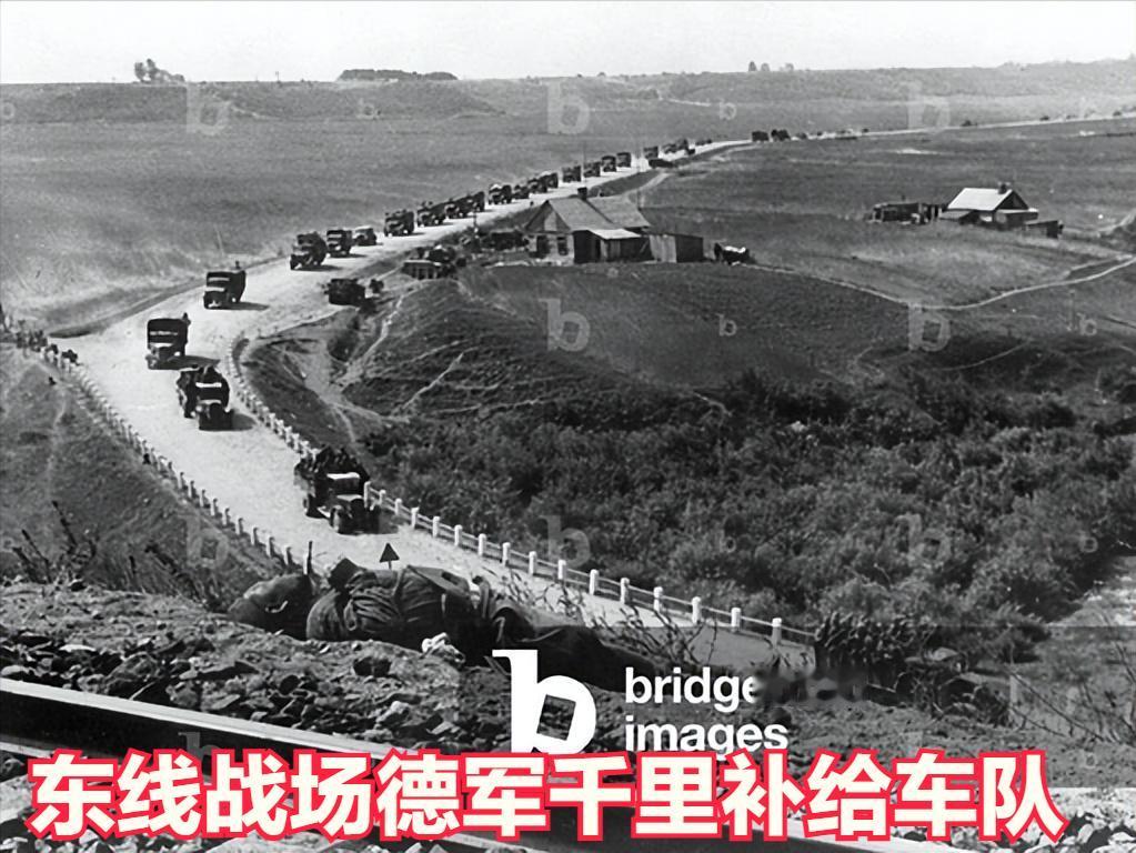 平时刷二战相关内容总看见有人争论这个，我翻了不少史料，实话讲，就算德国把所有兵力