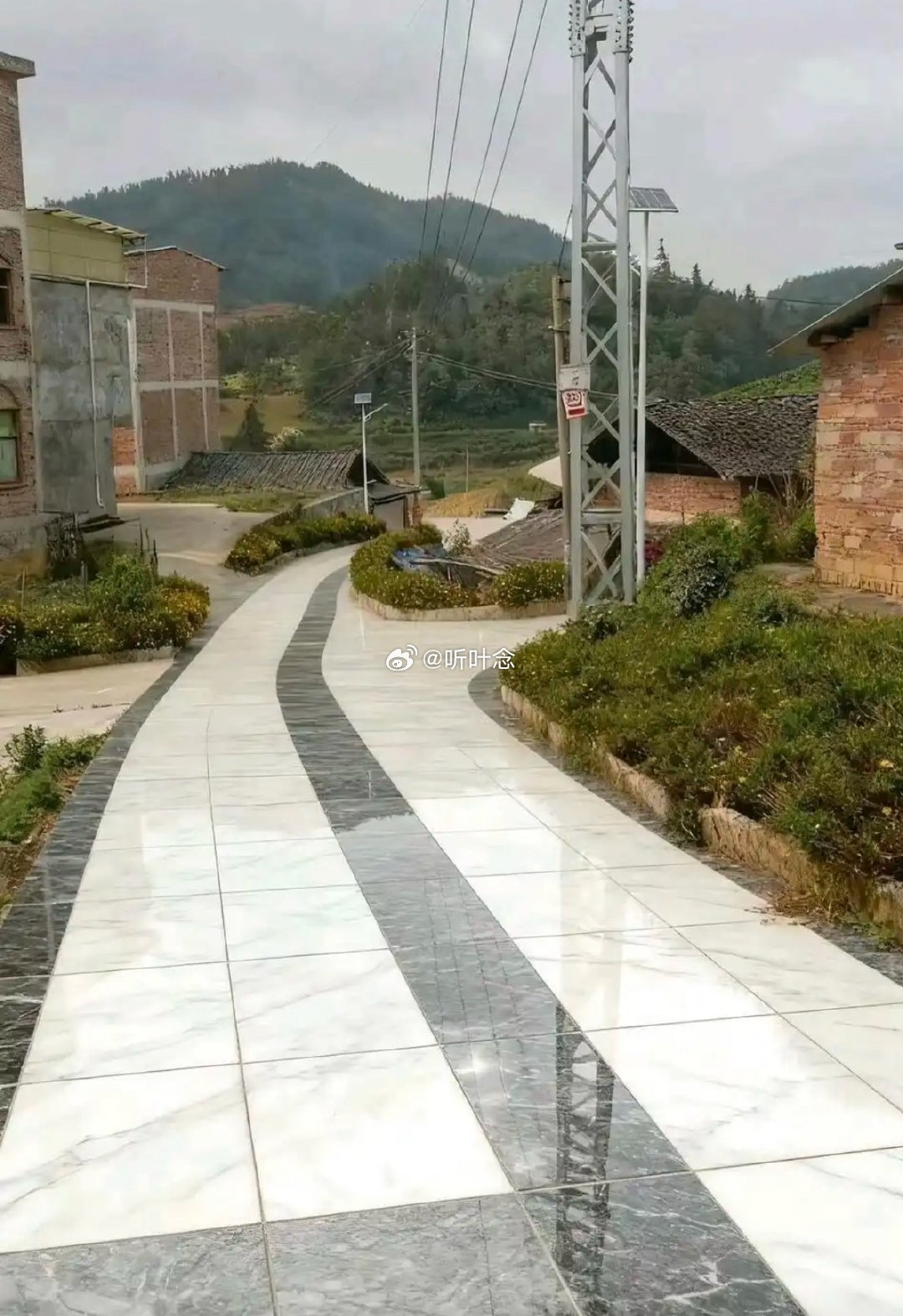 这就是我竞选村长的底气