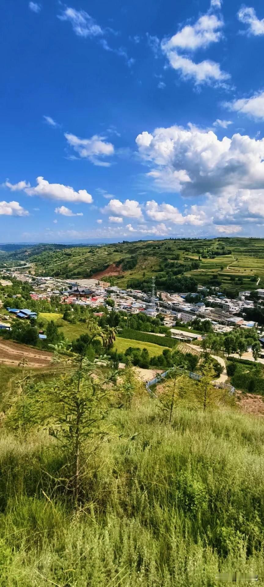 今天村里书记给我打电话说有个好政策，我家的老宅由于没路可走了，在城里买商品房可以