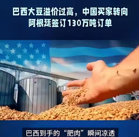 巴西的大豆商人最近傻眼了，他们原本以为靠卖给中国大豆能赚大钱，把价格从580美元