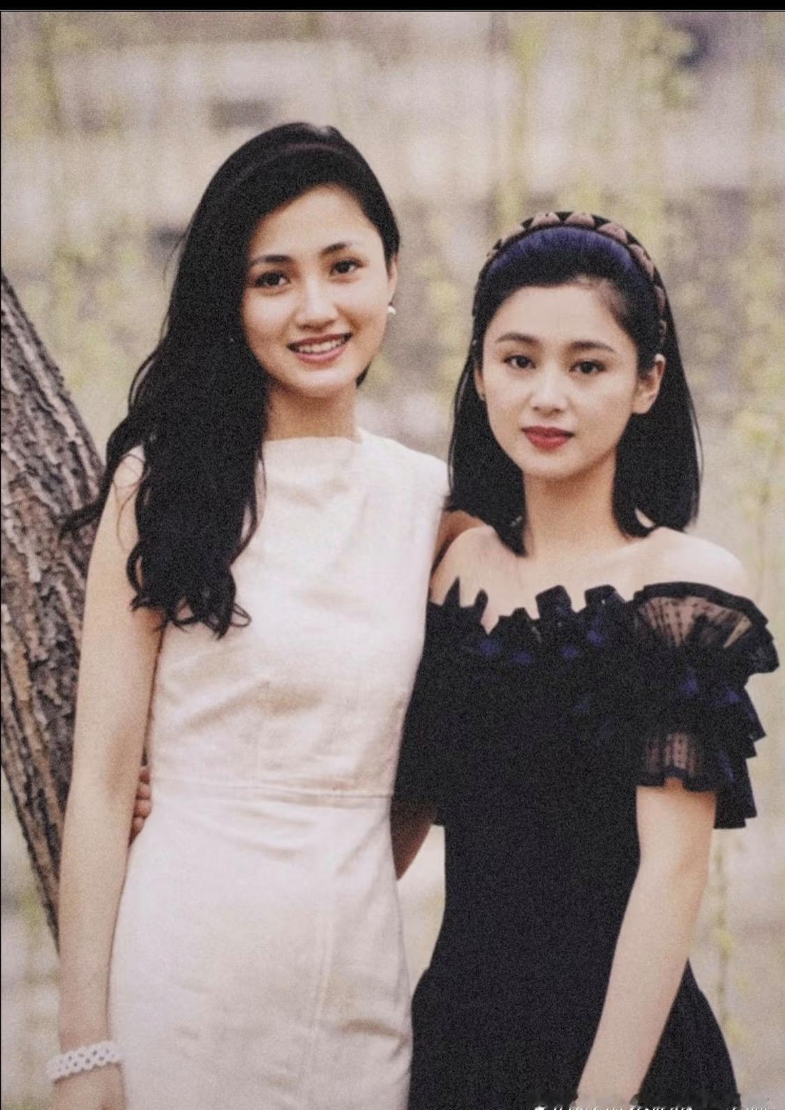 林芳兵陈红内娱两大美女1991​​​