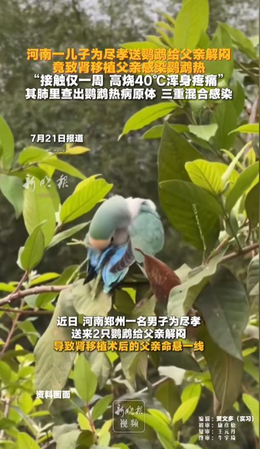 “孝心反成了伤害！”7月21日报道，河南郑州，一男子做了肾移植手术，不能够上公共