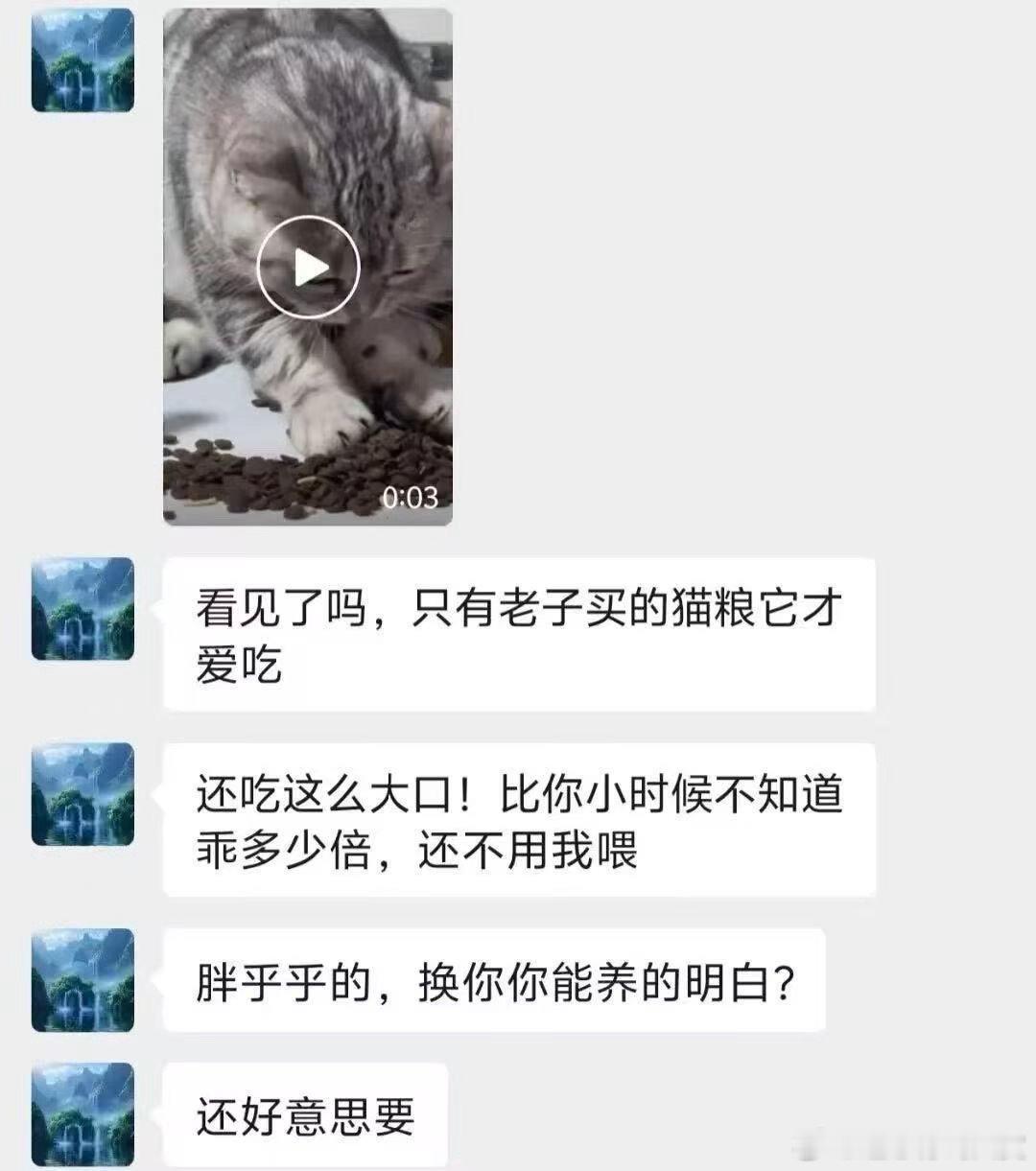 你根本不懂得如何饲养一头猫咪！