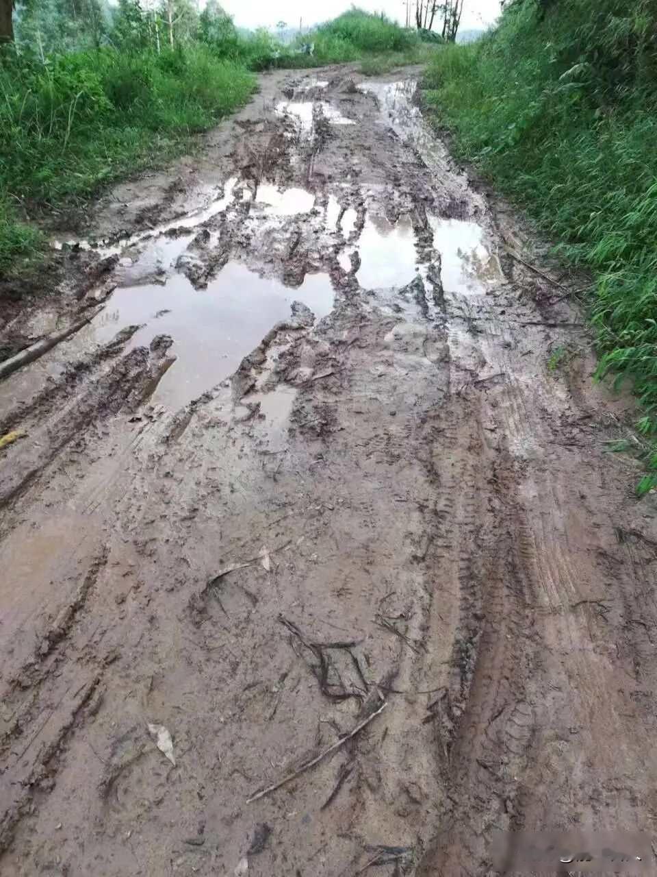 青龙村修路十年无果，死人被收钱活人被打折，村民的钱卡在街道账户里在四川宜宾叙