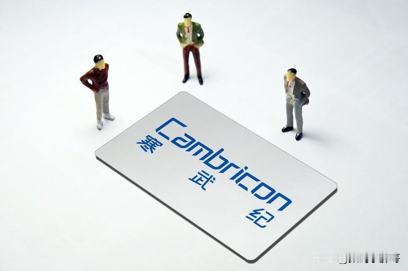 寒武纪的三季报，2025年前三个季度营收46.07亿（去年同期1.85