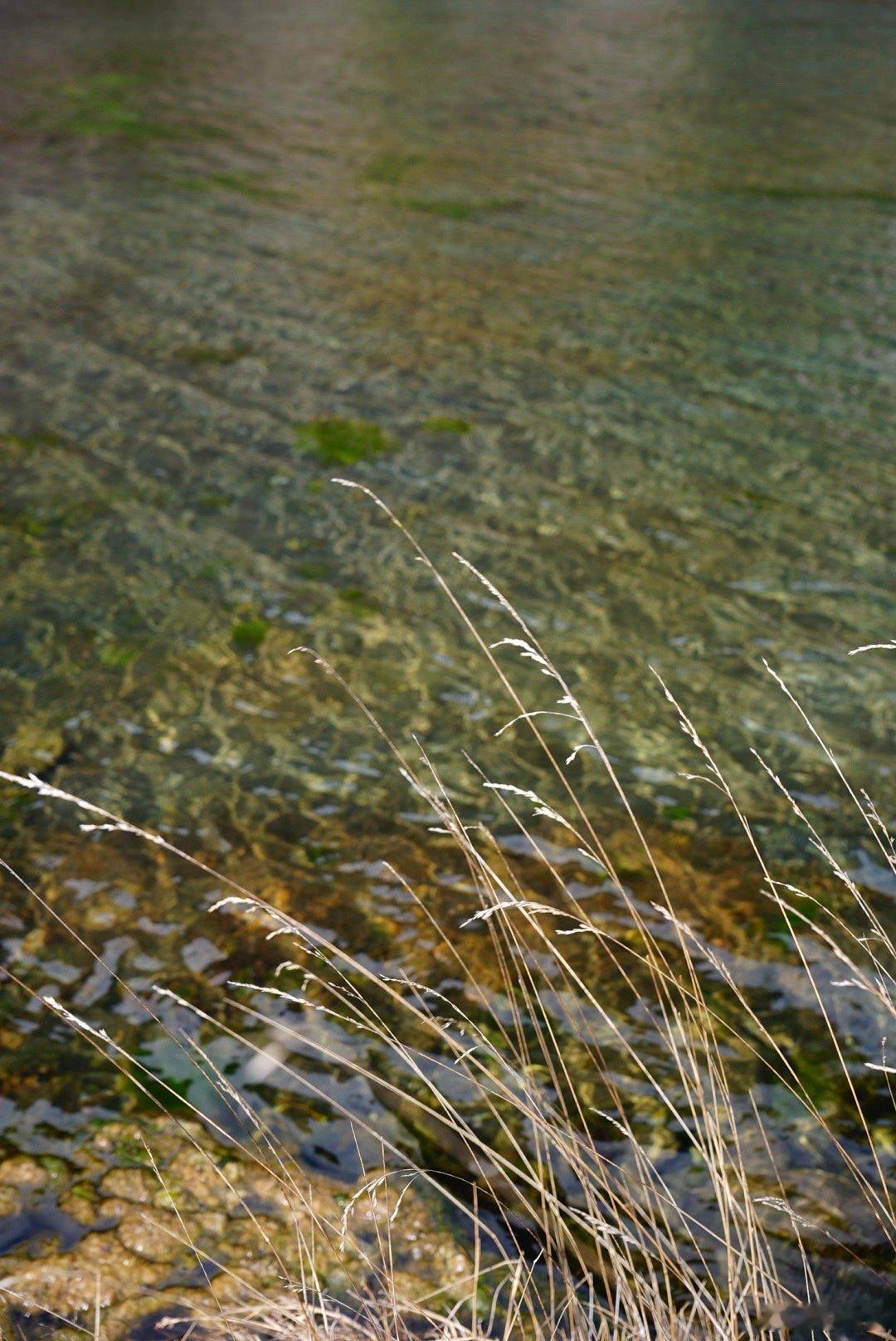 我在毕棚沟，遇见大雪纷飞。乘风游记阿坝·毕棚沟景区