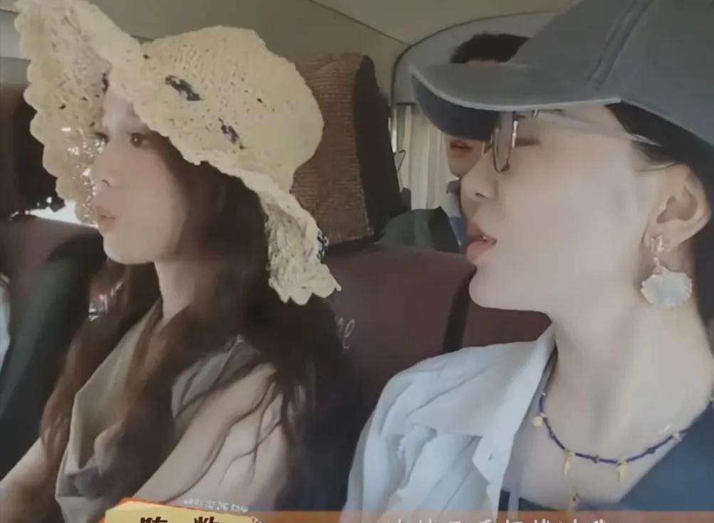 陈数坦言《浪姐》连续几季都找过她，她都拒绝了，拒绝理由竟然是这个！陈数说：“连