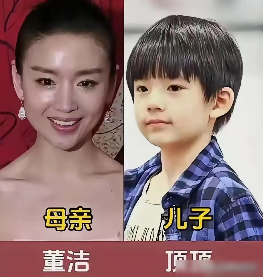 陈红那骨相，真就印在陈飞宇脸上了，一点没浪费。这儿子像妈，像得跟拿尺子量过似的。林心如她妈那酒窝，位