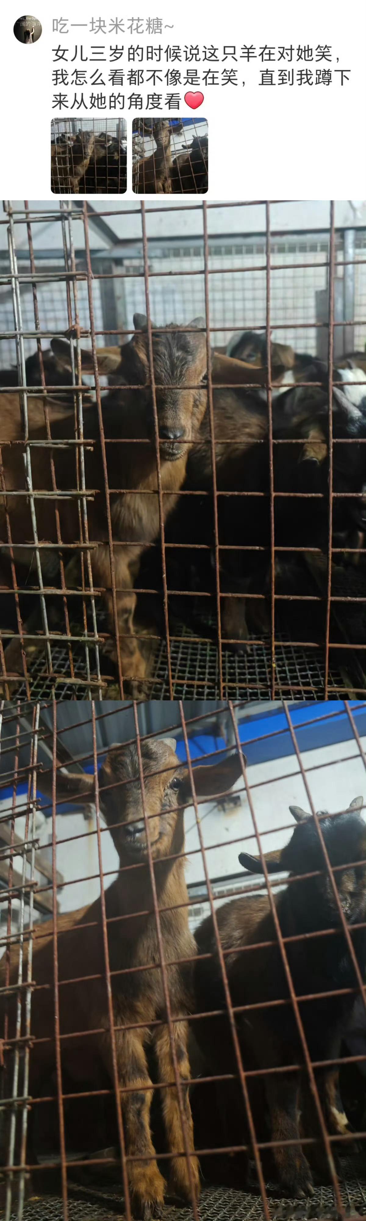 小朋友视角下的美好世界。