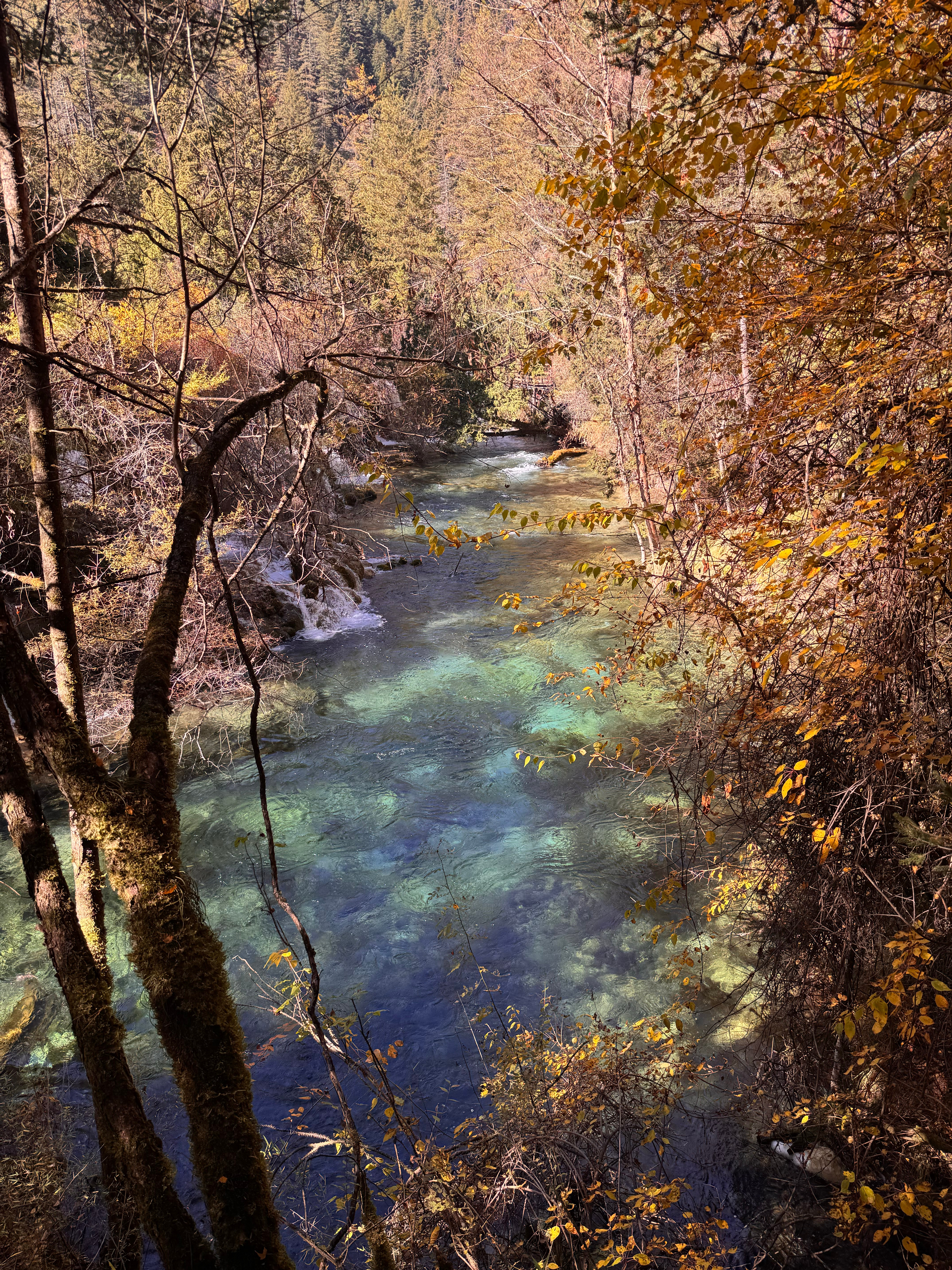 闺蜜们先看！！我才走了3/1吧秋天一定要来一次九寨沟啊！！！拍照都拍不出它的美