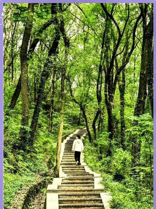 珞喻之争，喻家完胜。武汉有两座名山，一座叫喻家山，一座是珞珈山。喻家山下有华科