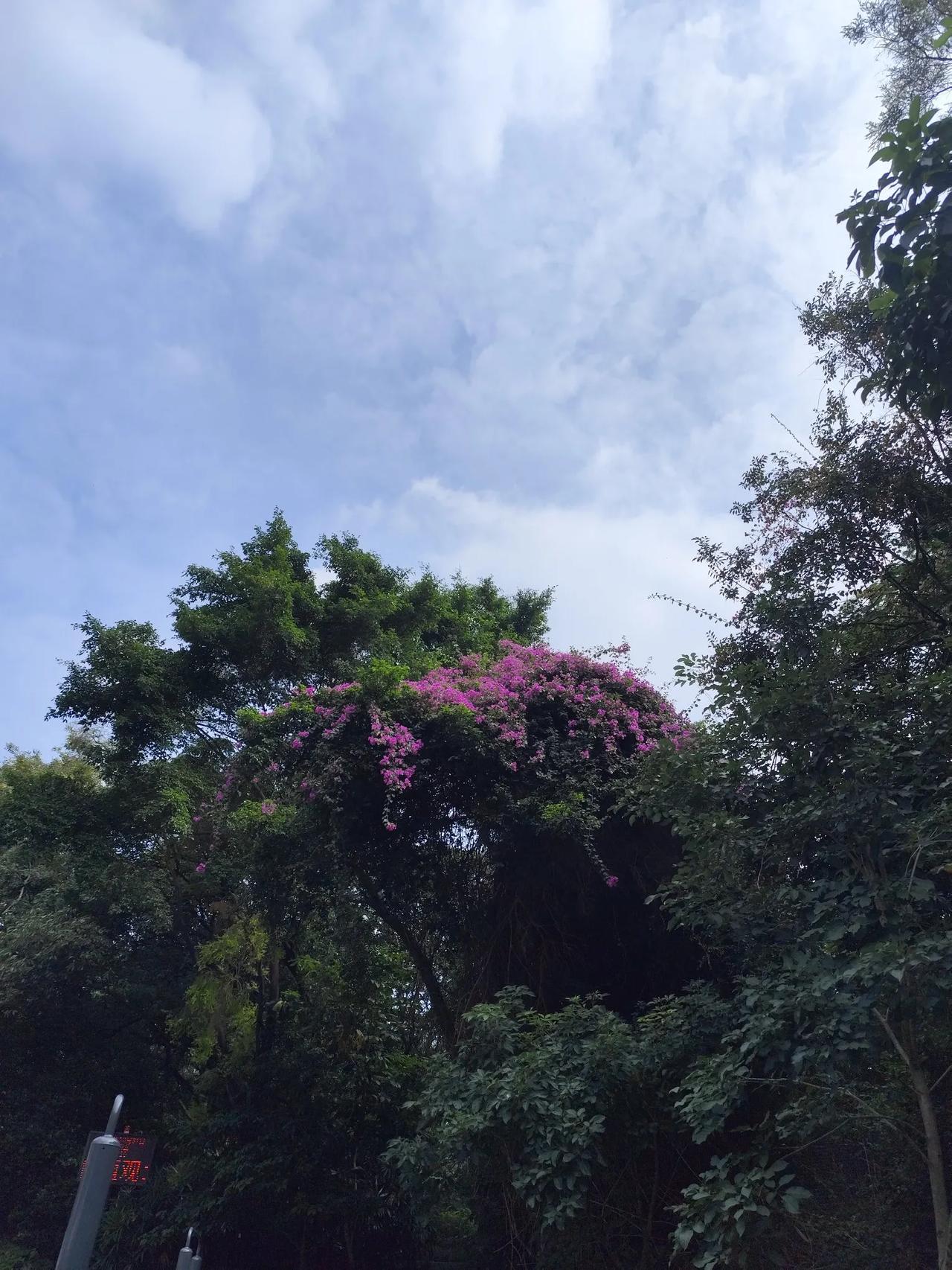 明朝怎么和宋朝比?1.都说宋朝战斗力不行,明年特能打,但宋朝活了三百多年,明朝