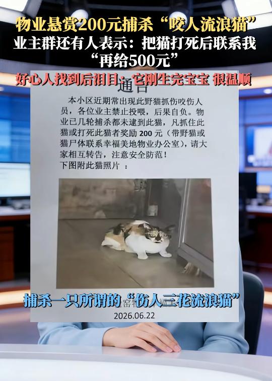 “太过分了！”6月26日报道，江苏淮安，一小区物业张贴告示，悬赏200元捕杀一只