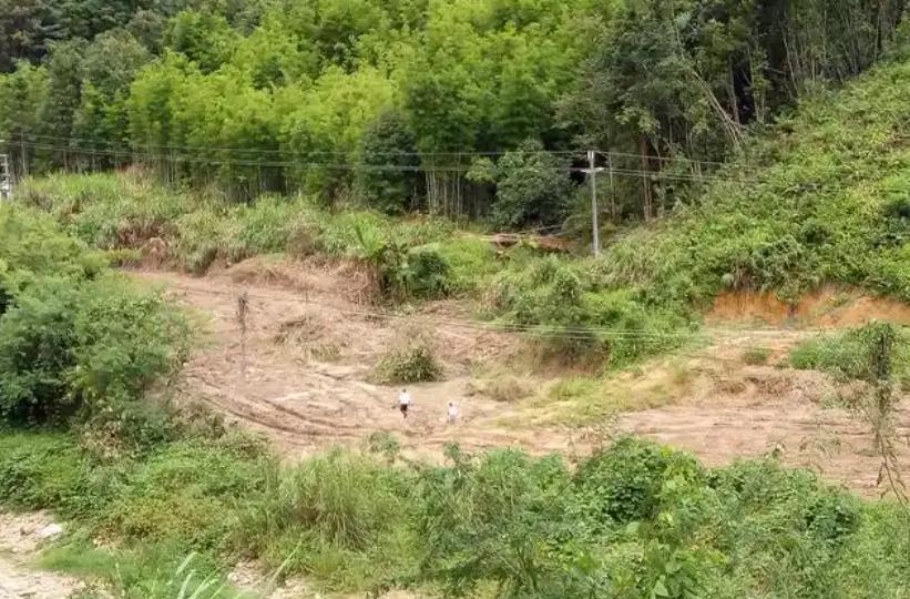 光棍问题还没有解决，农村又出现了6大怪象，让人心酸6、土地没人种了现在农村的