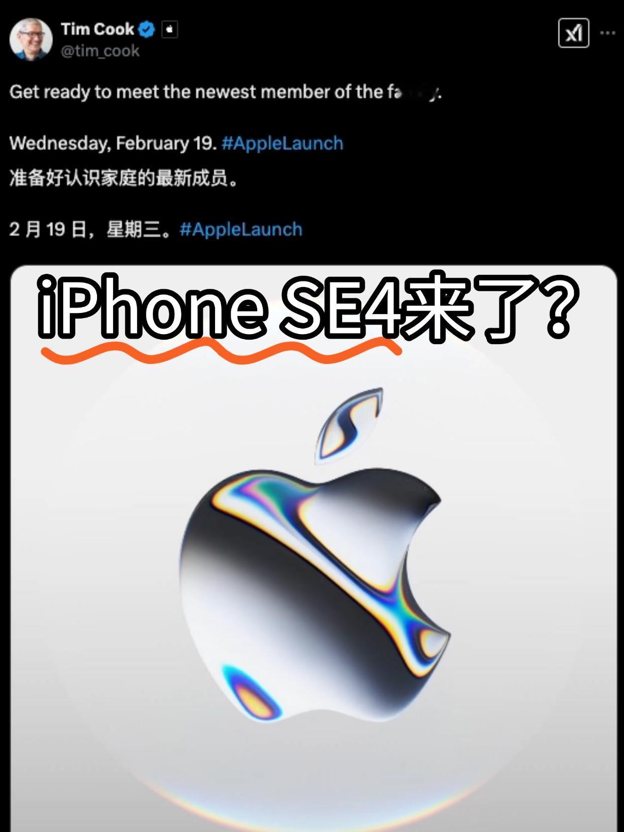 iPhoneSE4来了，可惜我心目中小屏不是它库克忍不住爆了，不出意外的话，