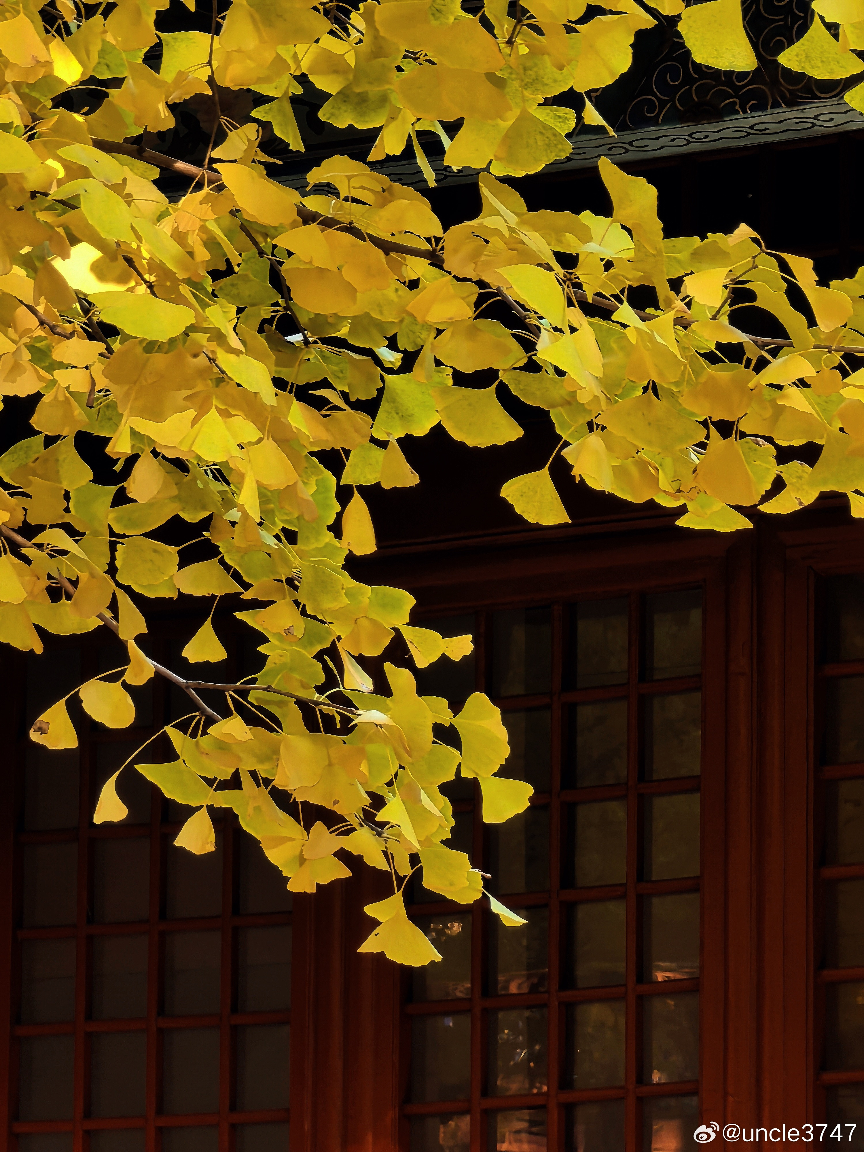 千年红螺寺，禅意醉金秋…摄影​​​