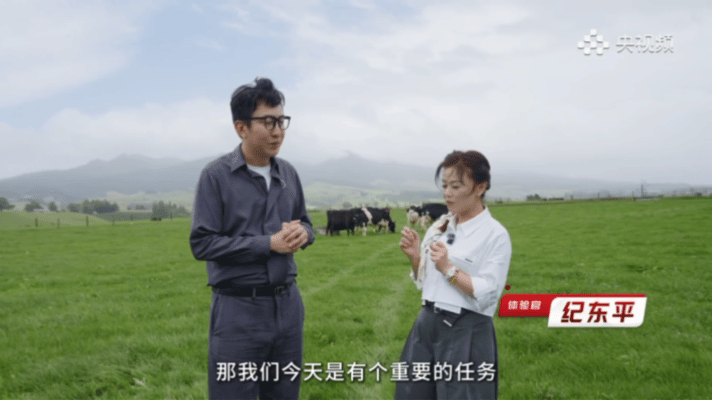 从牧场到餐桌央视一路盯到底你知道牛奶从牧场到餐桌多远吗新西兰奶粉全程严格管控，每