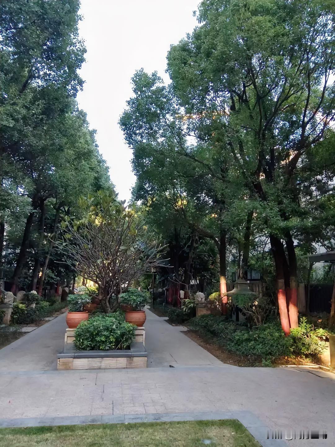 为什么普通人结婚一定要趁早？年龄优势其实是人生旅程里的最大优势，很多人都没有充