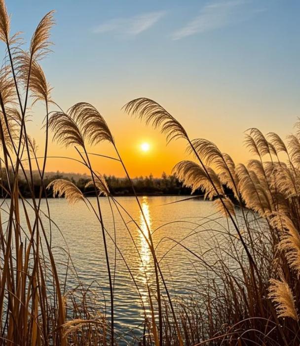 亲戚再好，也别请回家当保姆！我有个熟人刘老太，74岁，老伴走得早，去年上半年