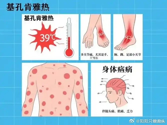 广东1周新增3153例基孔肯雅热广东新增超3000例！这个传染病近期要警惕中秋