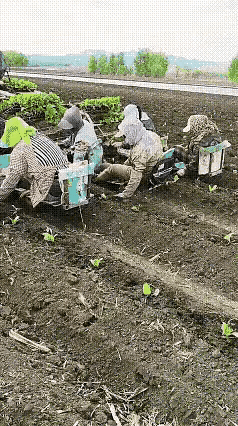 这属于是半自动吧，不过也极大的提高了效率