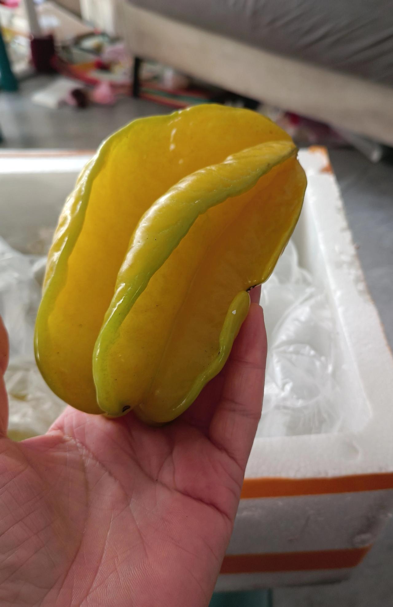 中原地区也吃到杨桃了？前段时间看到好友发的杨桃，女儿问：妈妈那是什么？是一种热带