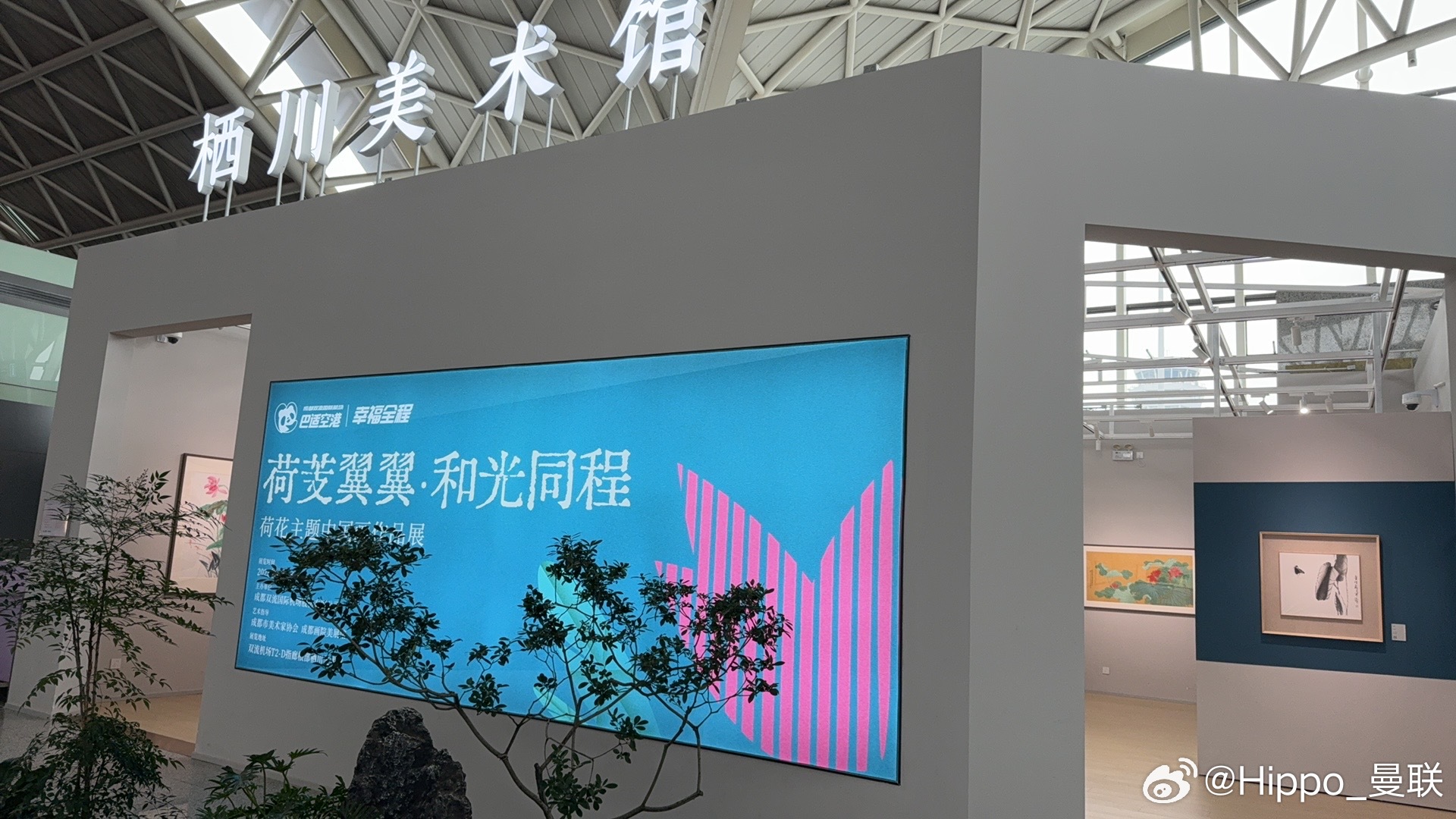双流机场可以，虽然这个展不在我的审美点上。​​​
