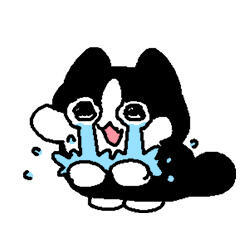 奶牛猫奶尼表情包表情包​​​