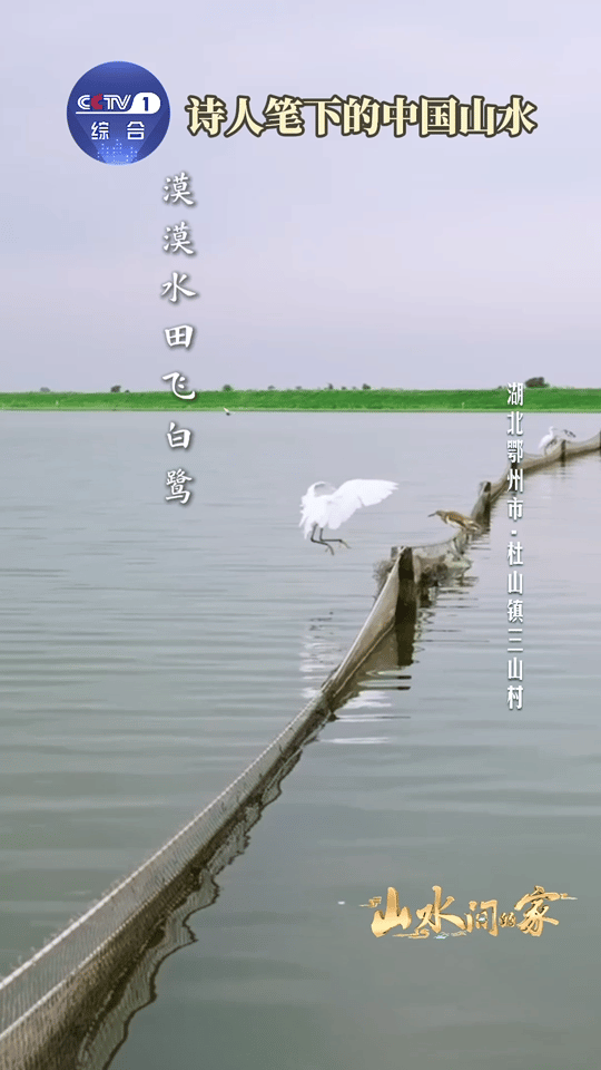 中国人用几千年给山水写诗面对中国山水古人全是诗张力古人以诗为笺，把峰峦、流泉、