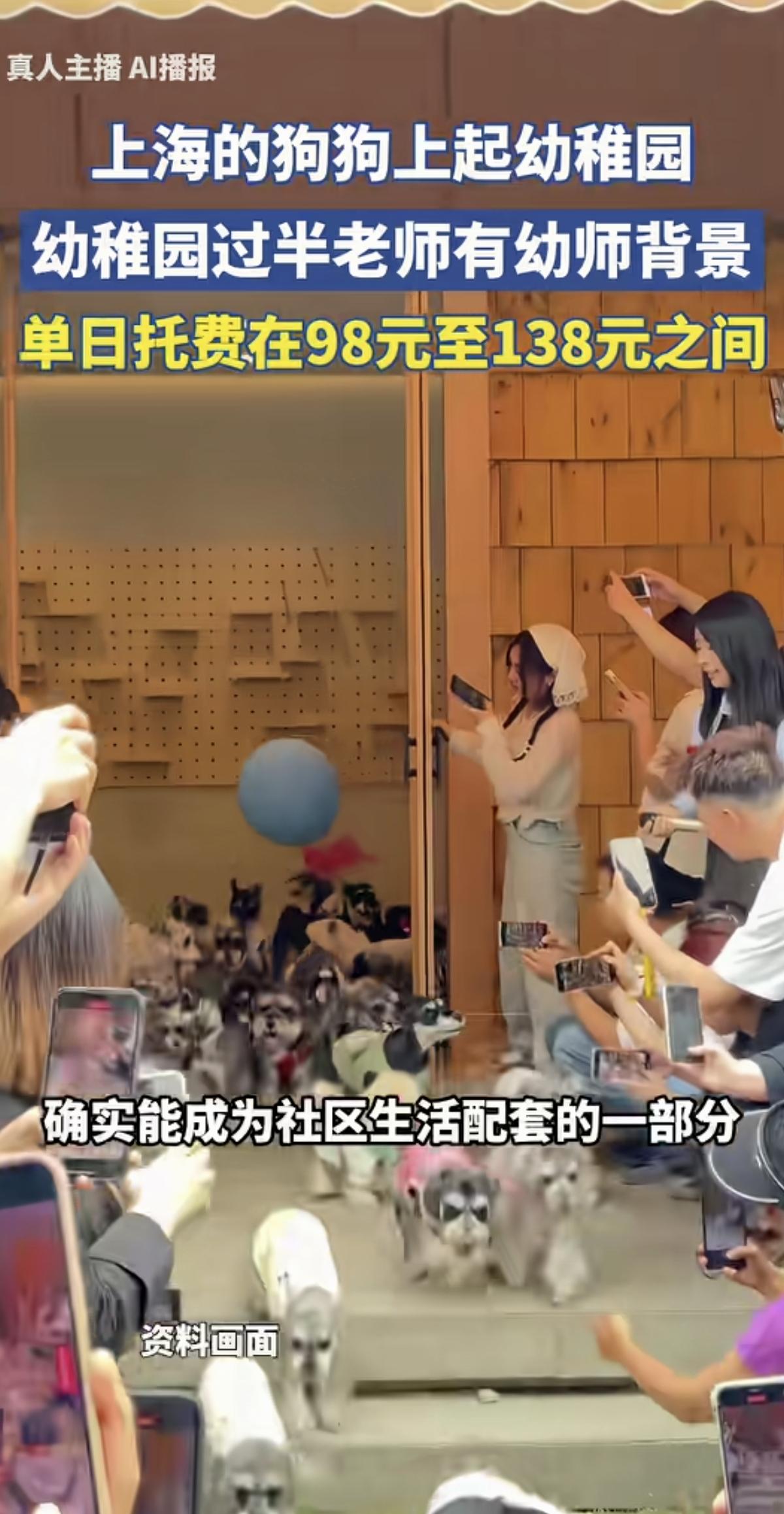 “新鲜事儿啊！”上海的狗狗可以上幼稚园了，按狗狗的性格分班，并且开设了户外运动、