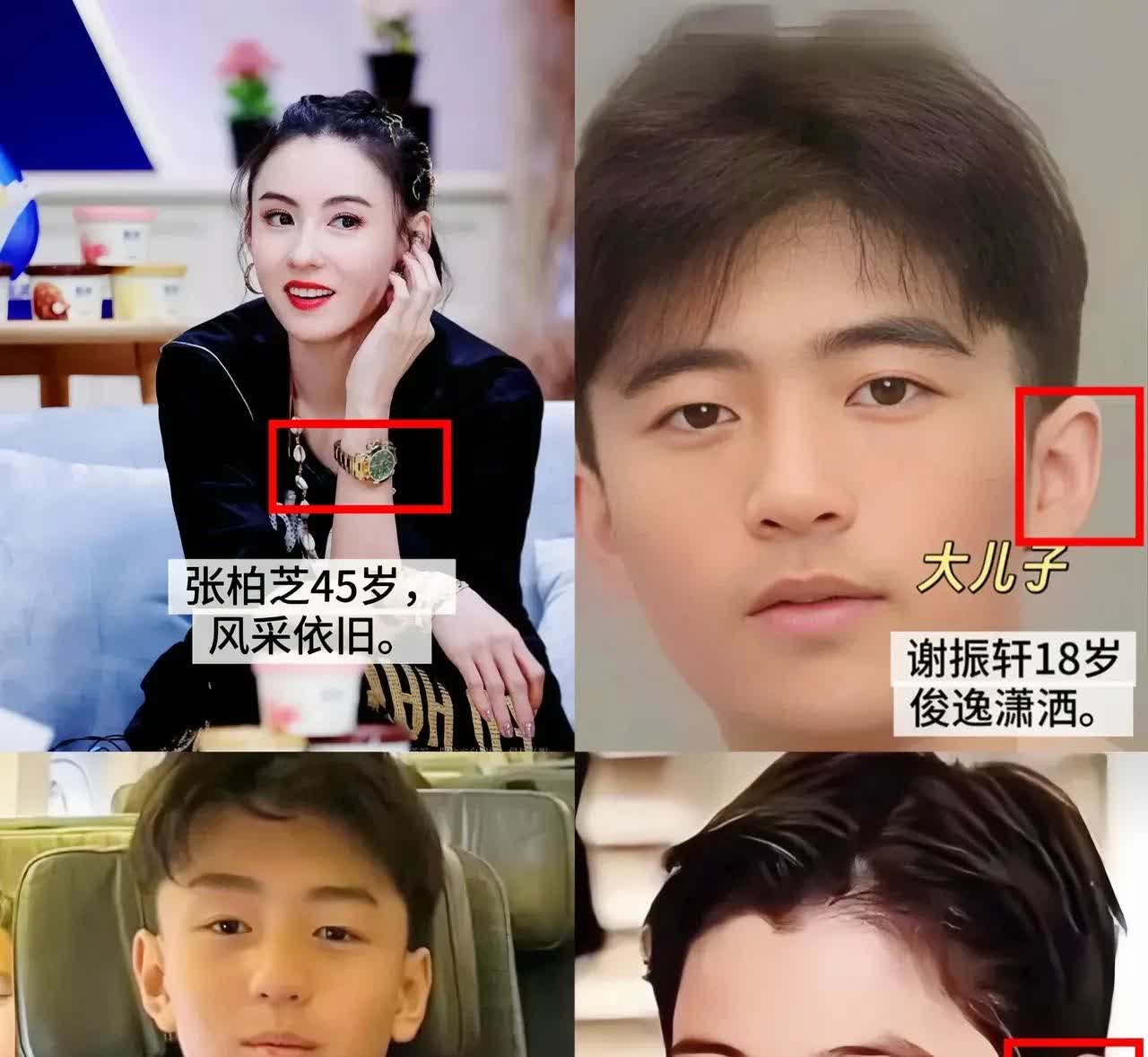 张柏芝的三个儿子，你瞧，大儿子和二儿子那模样，简直和爸爸谢霆锋一个模子刻