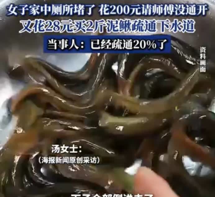 ＂真是个人才！＂2024年，浙江衢州，一女子家中马桶堵塞多日，花费200请师傅都