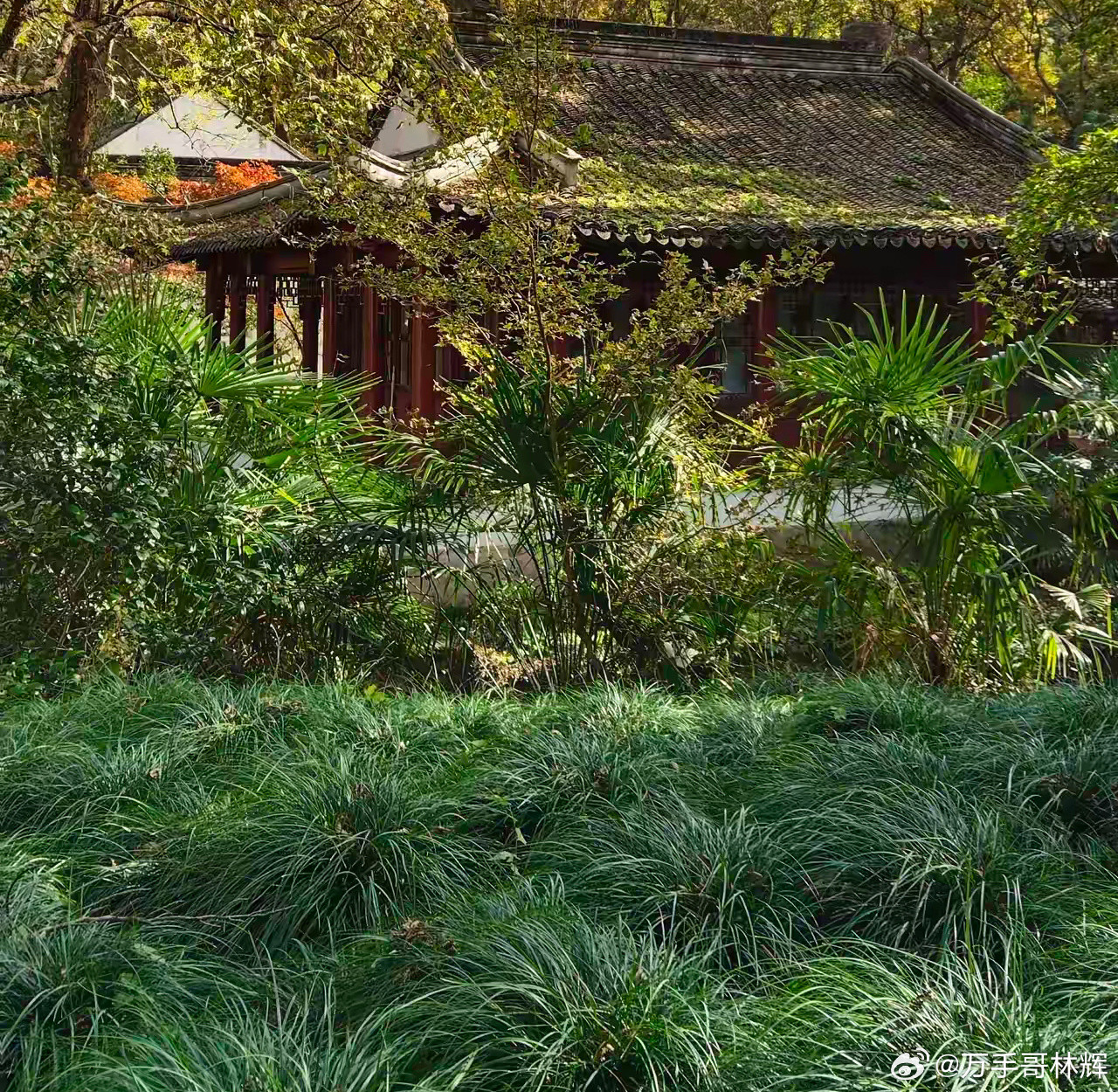 公积金2.6%很低，为什么大家还是拼命提前还贷？公积金贷利率已低至2.6%，全网