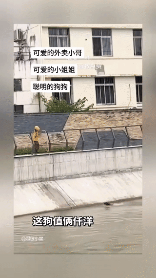 太戳人！外卖小哥送餐路上，远远看去河里有个黑影正在拼命扑腾，心里一紧以为是有人落