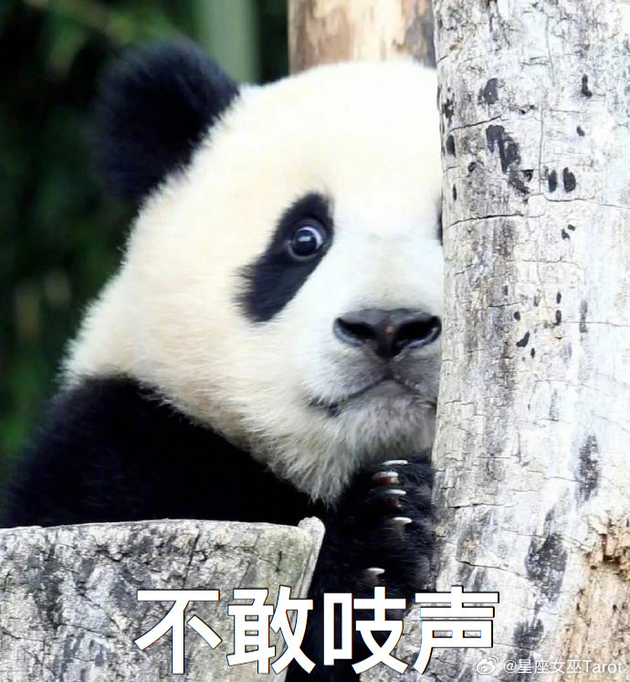 白羊失望会直接摊牌，吵完翻篇；金牛失望会慢慢停止付出，不再大方；巨蟹失望会收起温