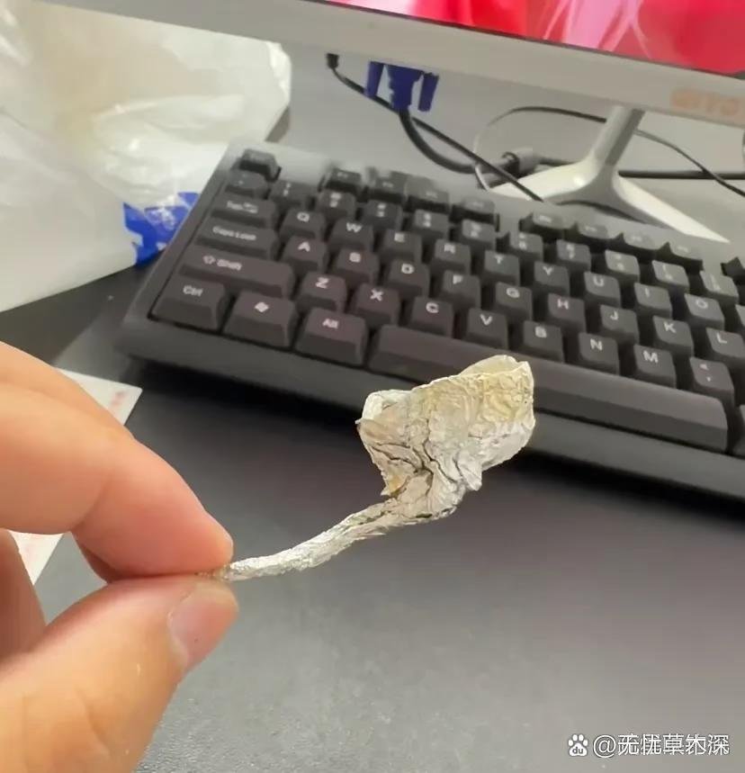孩子房间发现的，这是什么？