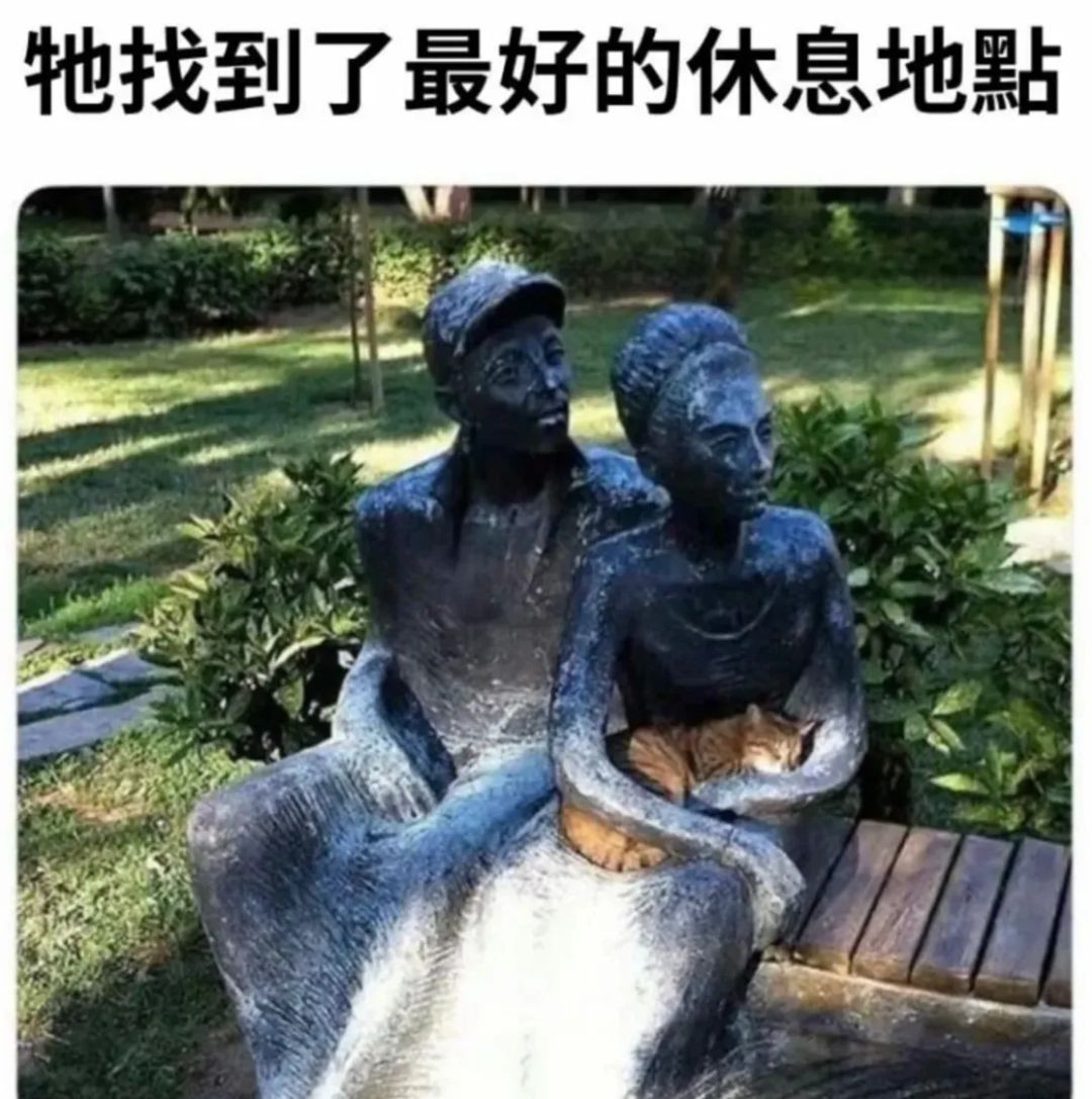 也太会找地方了吧