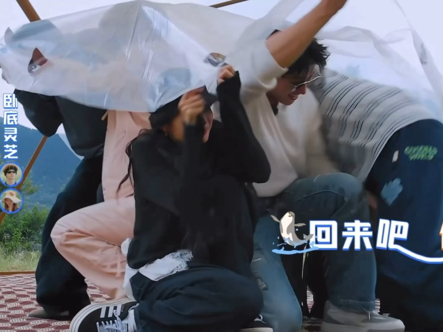 笑吐了……黄景瑜就这样撤回了白敬亭的腿[笑着哭]白敬亭：卧底发力中黄景瑜：回来！黄