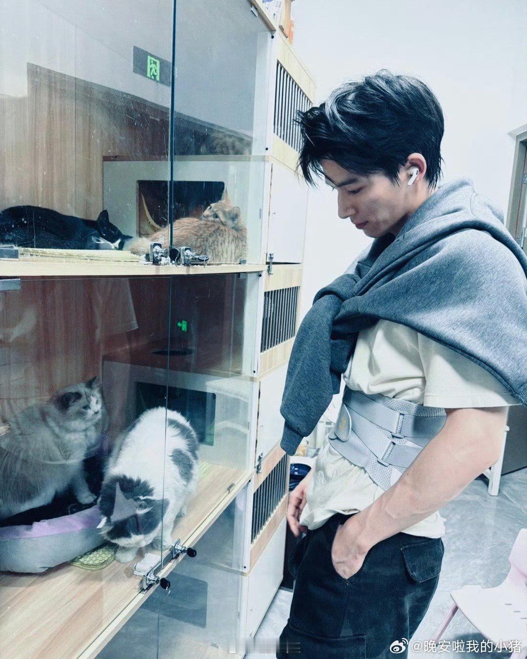 王星越真的超爱猫咪,一秒魂穿了,上班健身两不误🐱