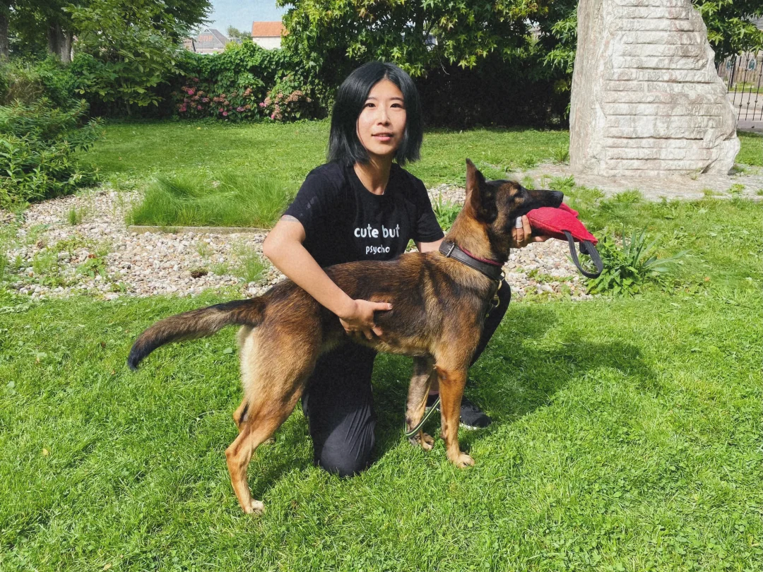 幼犬时期的陪伴和社会化的重要性！