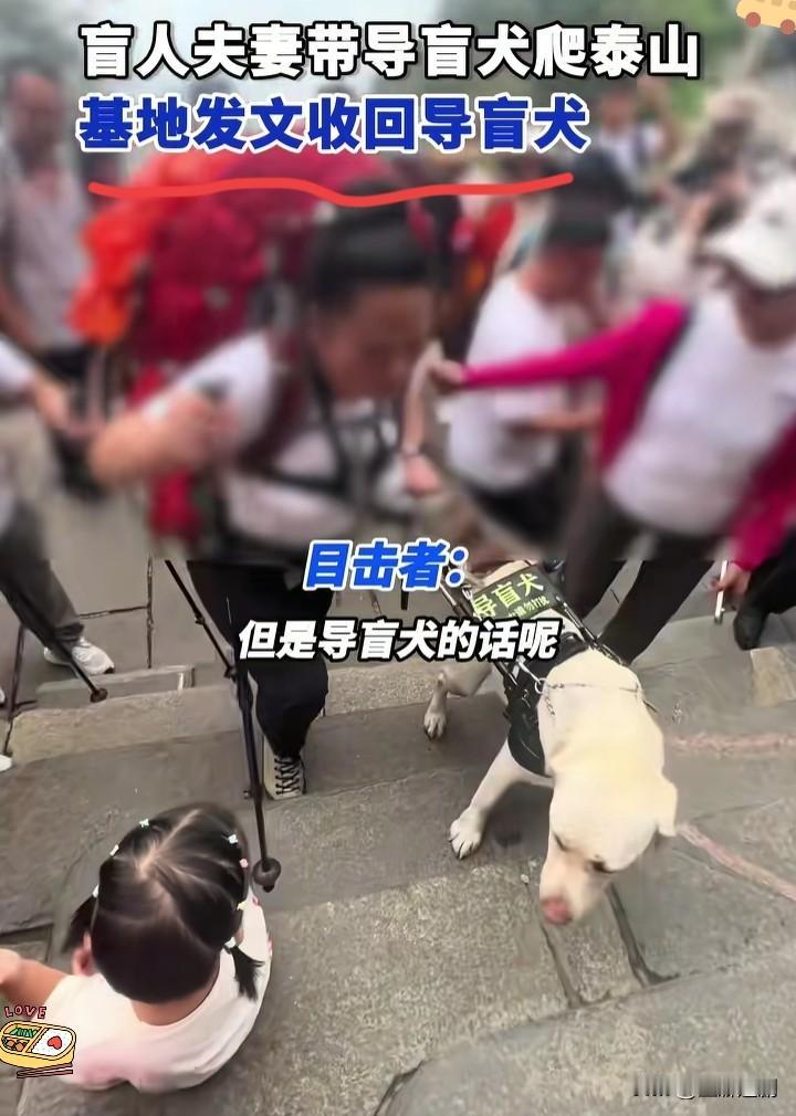 带导盲犬爬泰山的王女士，这下是真的难了！不仅丢了北京的工作，还得打包回吉林老家，