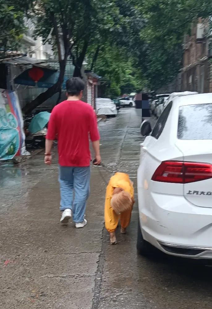 昨天黄昏时分，小雨纷飞，一位主人带着他的爱狗出来散步。他穿着红色的体恤，雨具什