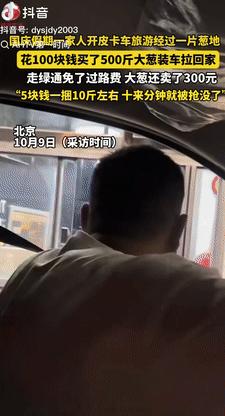 2025年10月北京，一男子开皮卡车带家人到承德游玩，路过一片葱地，得知只要2毛