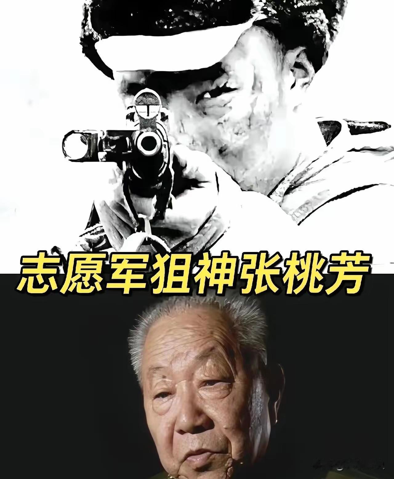 1953年，一位美国顶尖狙击手击中了一名志愿军战士，那人应声倒地，坠入战壕，然而